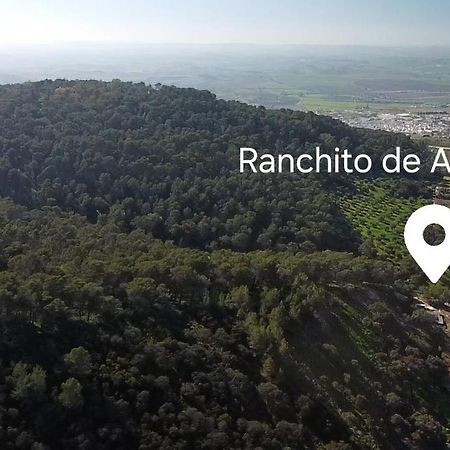 Montellano Ranchito De Alhucemas,Piscina Privada Y Barbacoaヴィラ エクステリア 写真