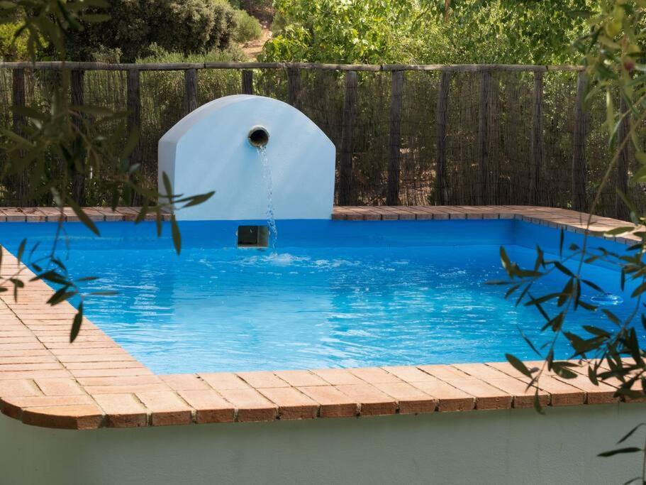 Montellano Ranchito De Alhucemas,Piscina Privada Y Barbacoaヴィラ エクステリア 写真