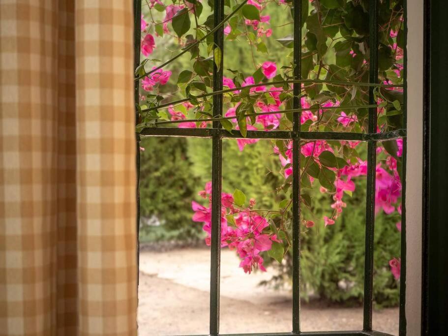 Montellano Ranchito De Alhucemas,Piscina Privada Y Barbacoaヴィラ エクステリア 写真
