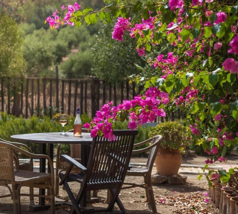 Montellano Ranchito De Alhucemas,Piscina Privada Y Barbacoaヴィラ エクステリア 写真