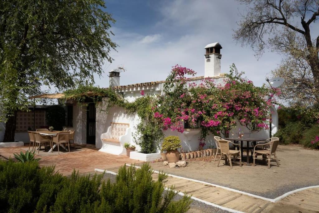 Montellano Ranchito De Alhucemas,Piscina Privada Y Barbacoaヴィラ エクステリア 写真
